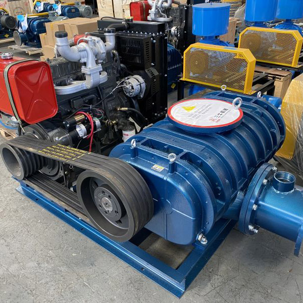 Blower per le radici diesel: soluzioni di soffiatore industriale efficiente e affidabile